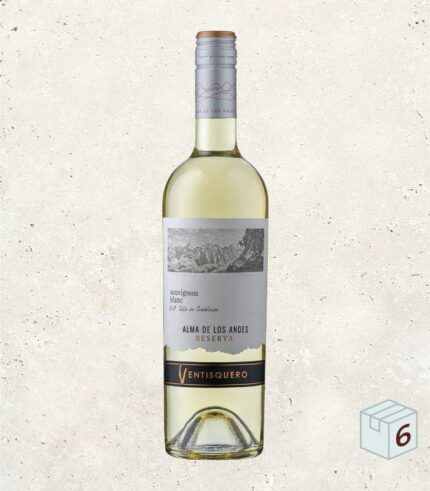 ventisquero-reserva-sauvignon-blanc-6x750