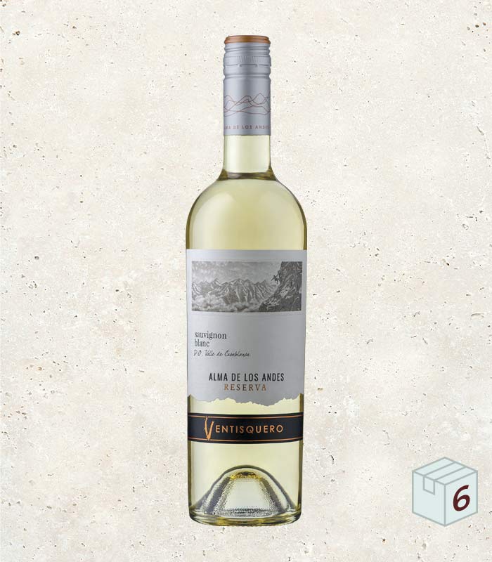 ventisquero-reserva-sauvignon-blanc-6x750