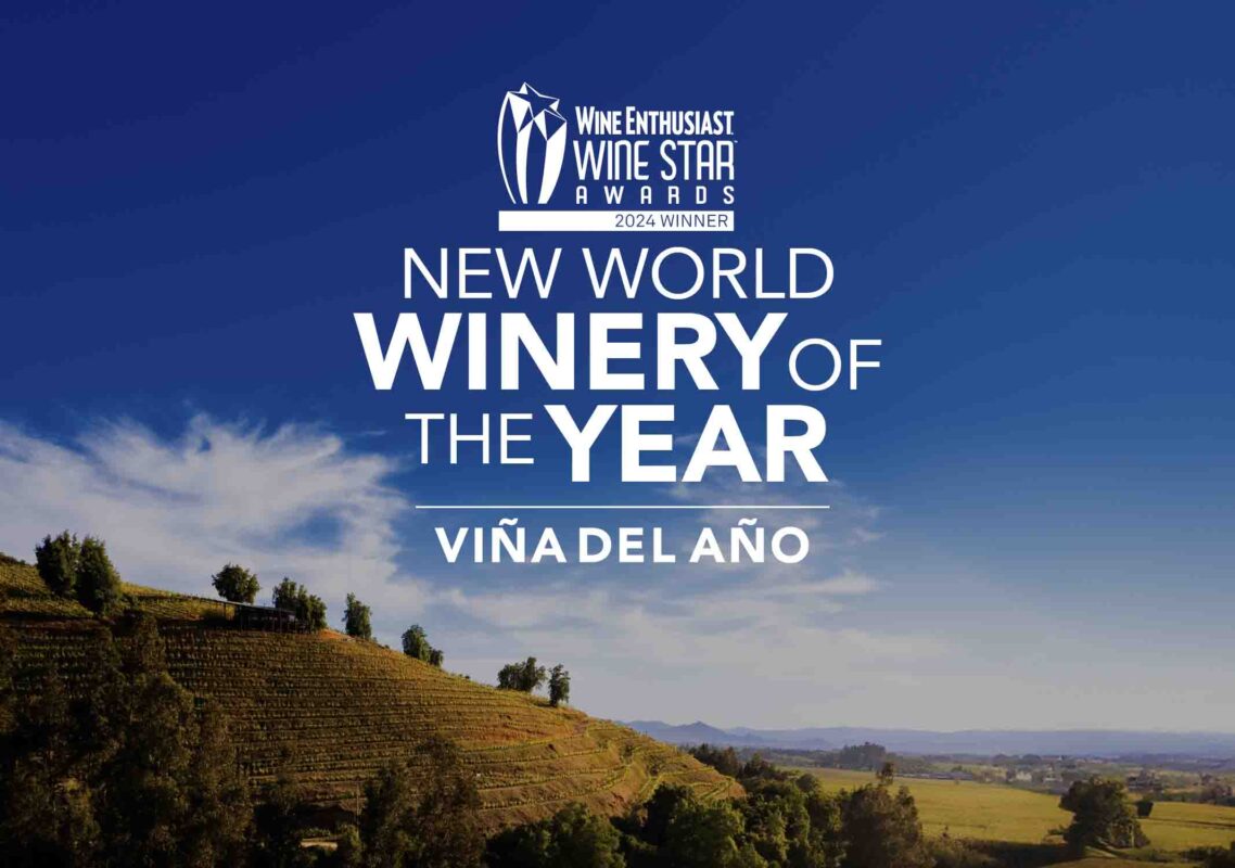 ventisquero-blog-vina-del-ano-wineenthusiast