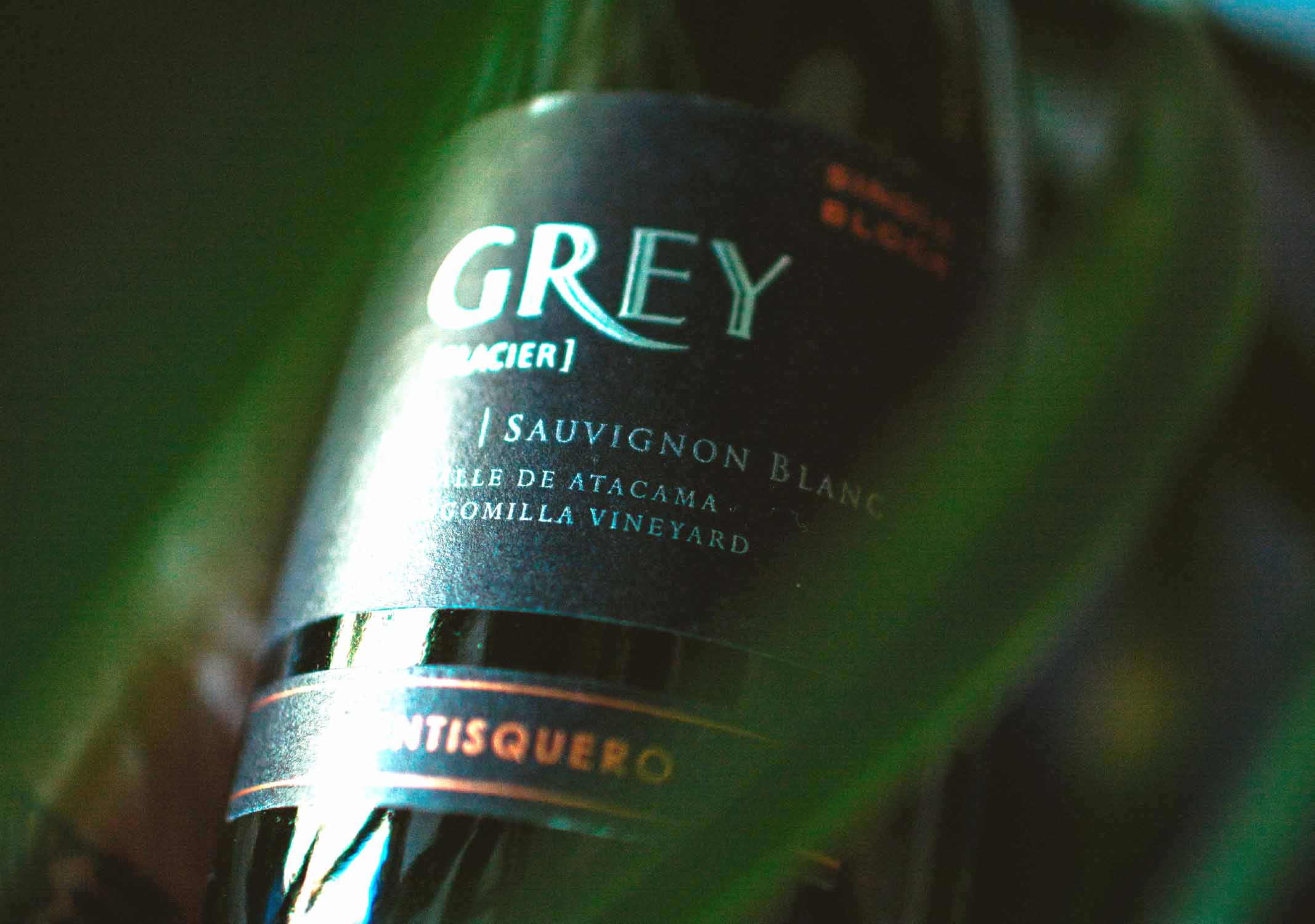 ventisquero-blog-grey-sauvignon-blanc-maridaje-1